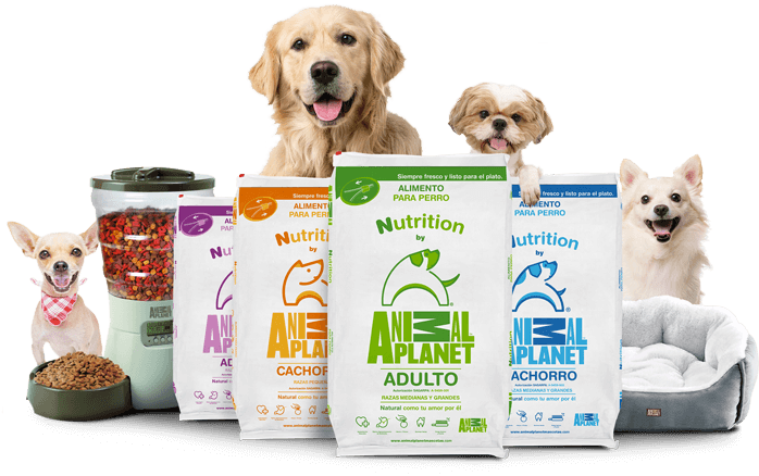 pet food-1